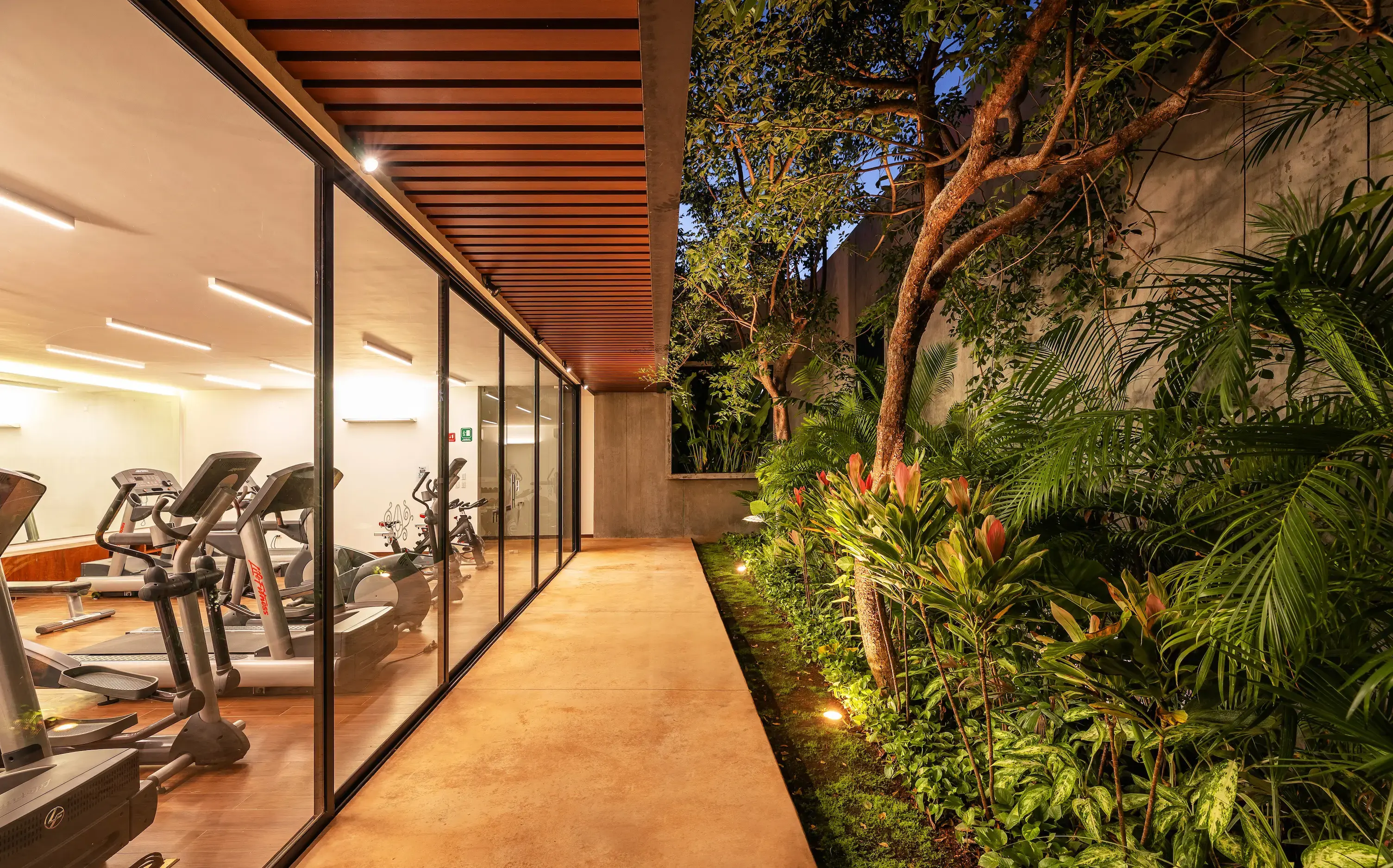HOME_PALTA_DERECHA